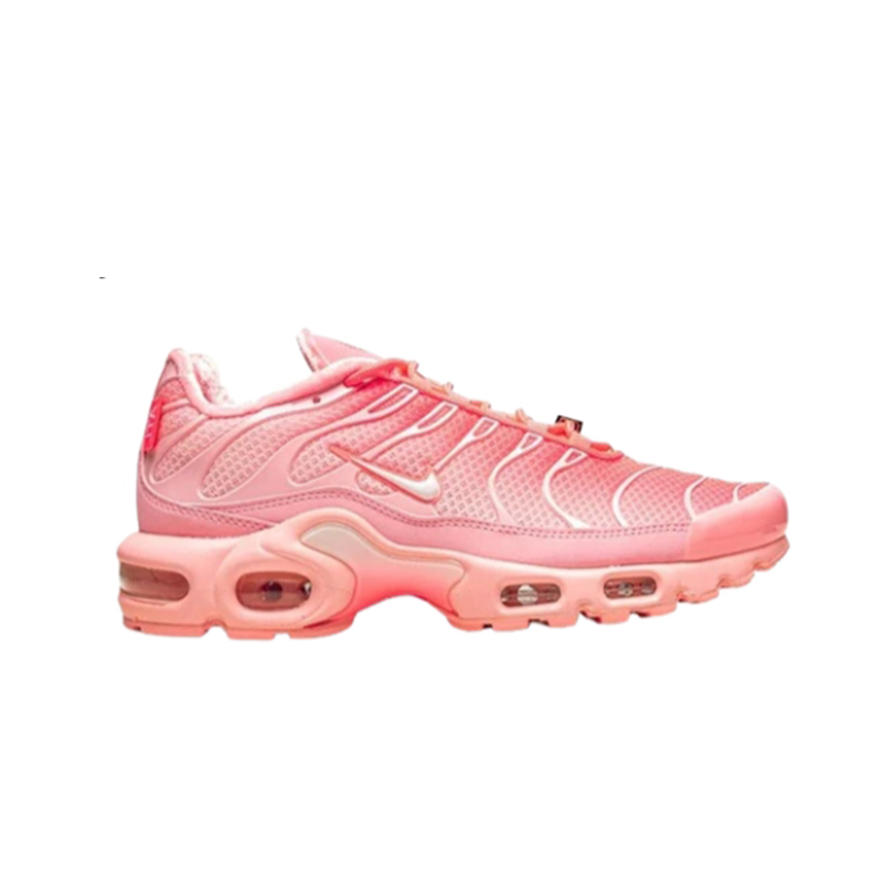 Nike Air Max Plus City Special ATL