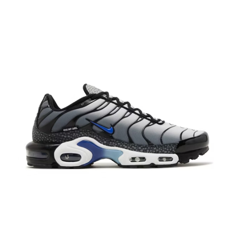 Nike Air Max Plus Kiss My Airs Metallic Silver