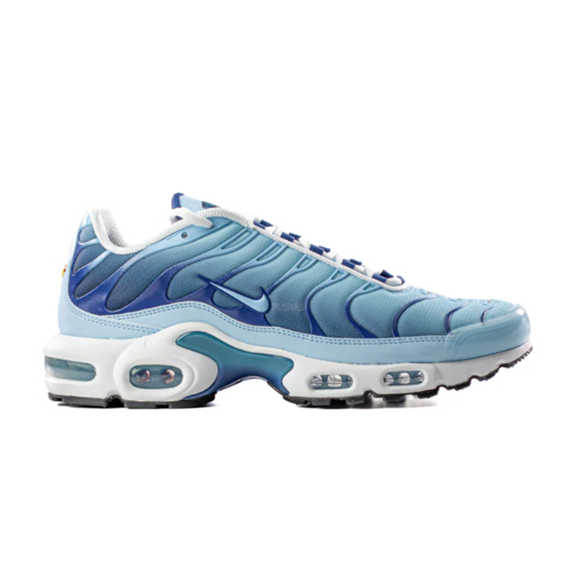 Nike Air Max Plus Ice (GS)