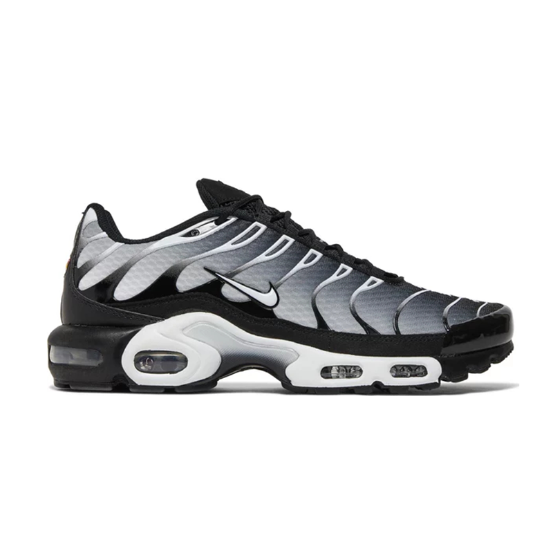 Air Max Plus 'Black Metallic Silver'