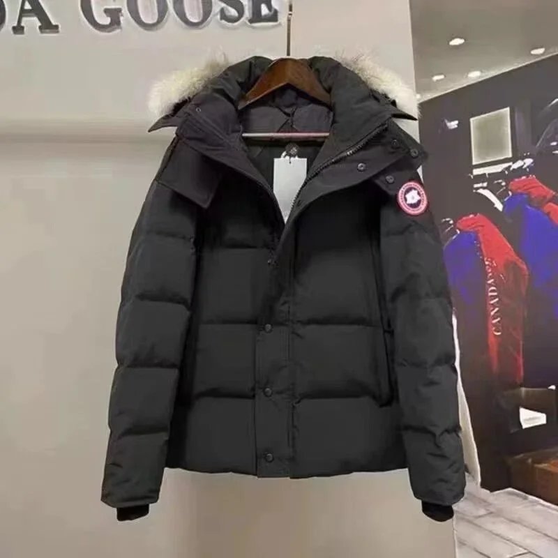 黑色红标毛领