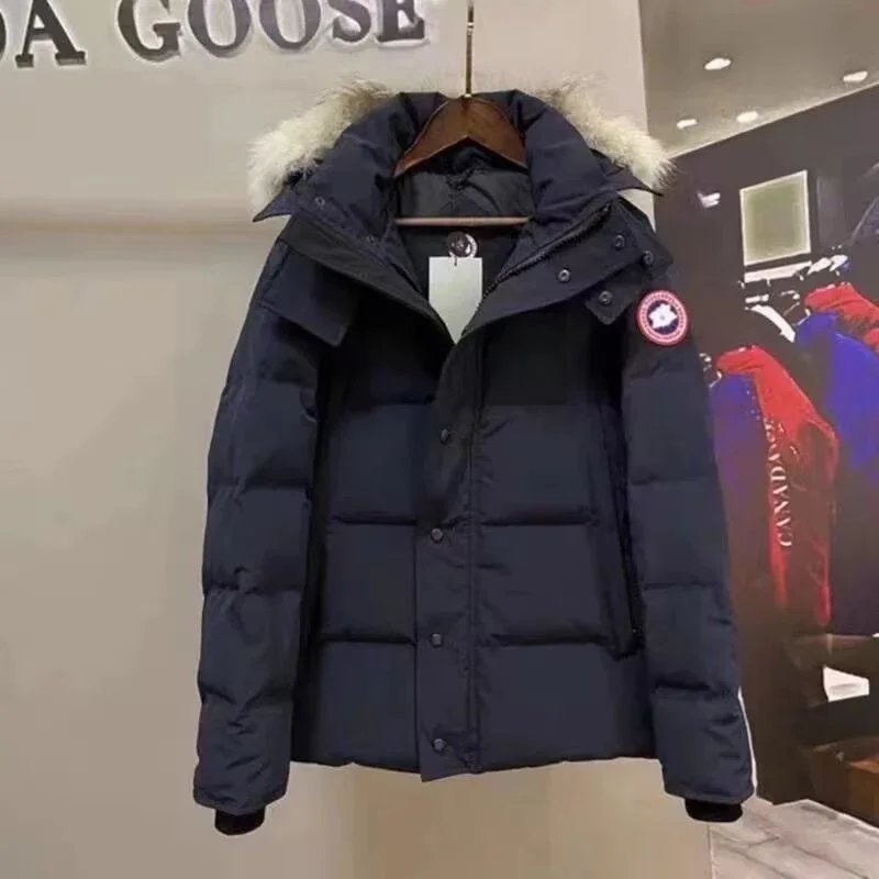 藏青色红标毛领