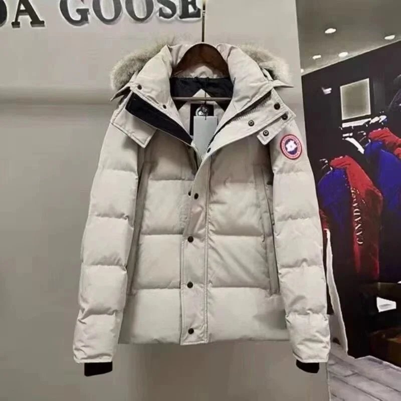 乳白色红标毛领
