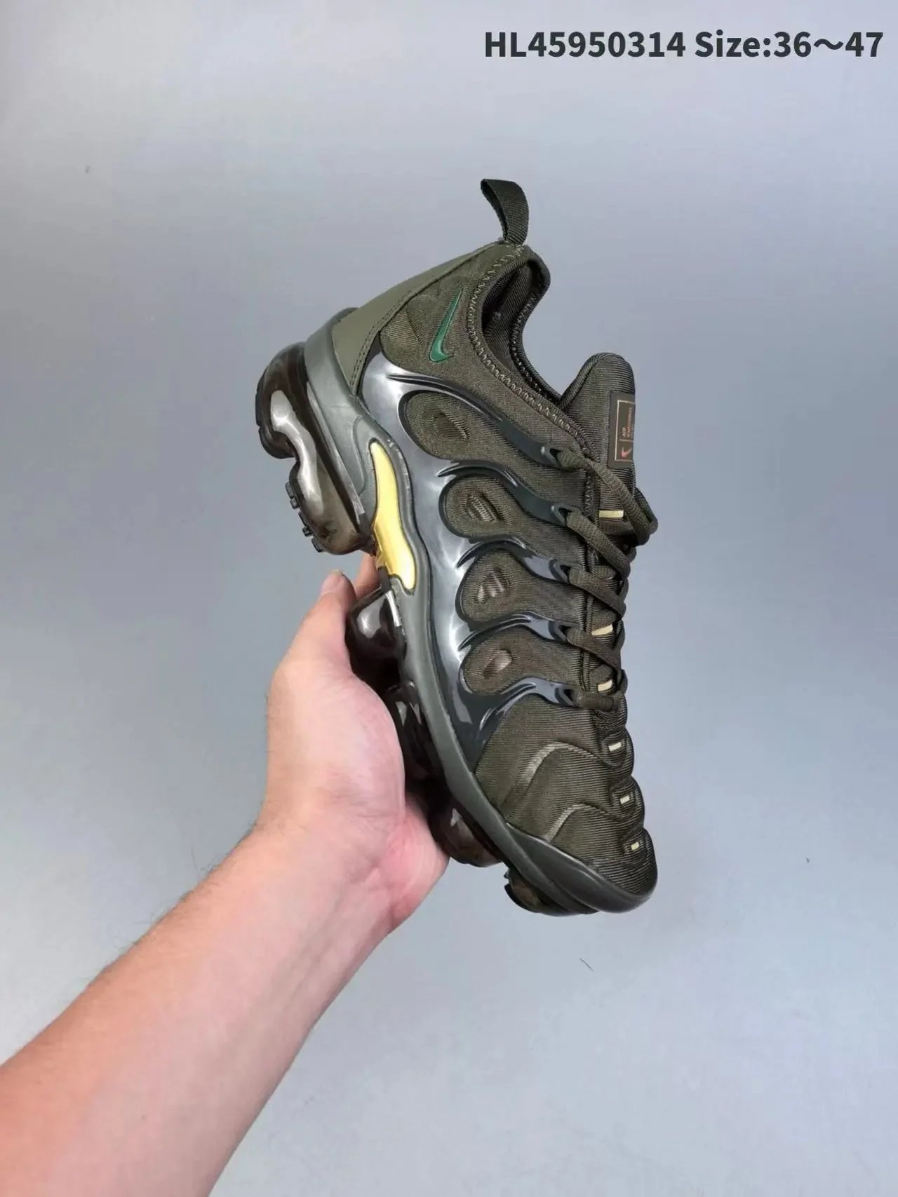 TN4