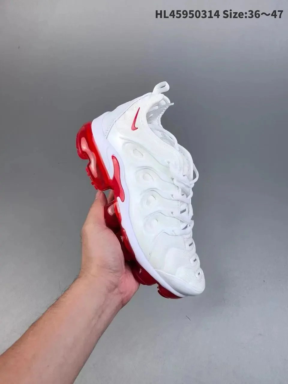 TN6